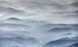 1119