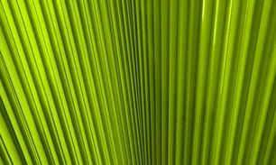 370