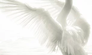 534