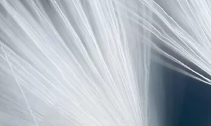 768