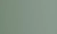 Green sage 8715