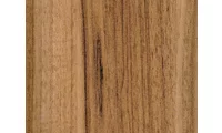 Orech európsky WF 37755
